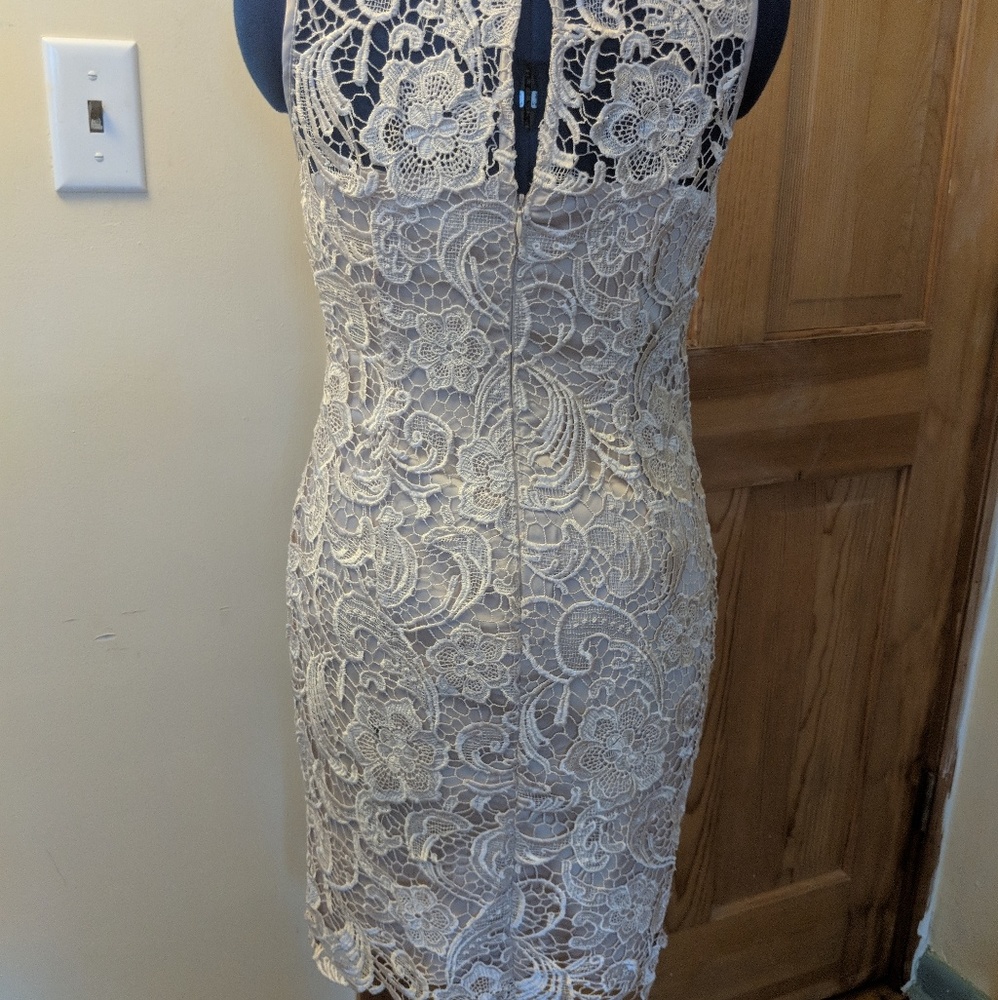 Cache Creme Lace Dress - Picture 3 of 3